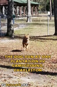Oak Plantation RV Campground Dog Run