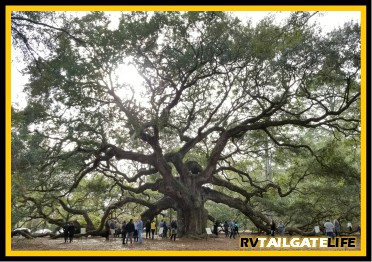 Angel Oak in Charleston, South Carolina