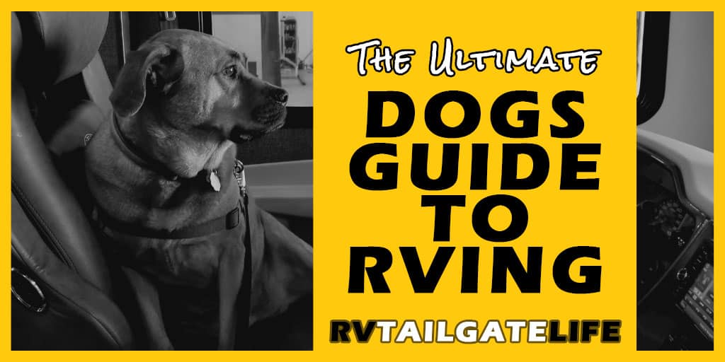 The Ultimate Dogs Guide to RVing