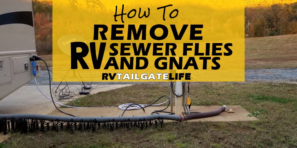 How To Remove Rv Sewer Flies And Gnats Tailgate Life - How To Remove Gnats From Bathroom