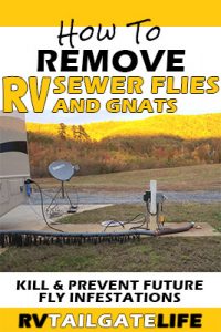 How To Remove RV Sewer Flies and Gnats - RV Tailgate Life