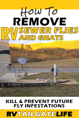 How to Remove RV Sewer Flies and Gnats - Kill and prevent future fly infestations