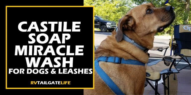 Castile Soap Miracle Wash for Dogs and Leashes