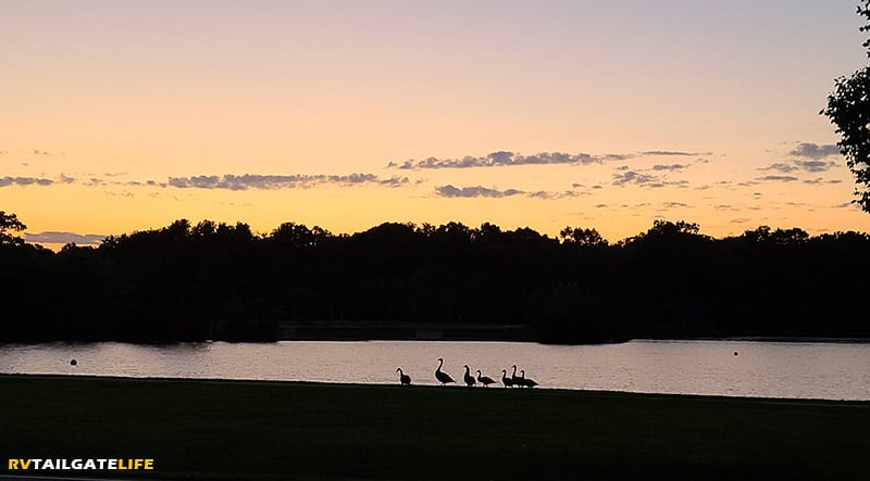 Sunset at James Island County Park with geese in silhouette 